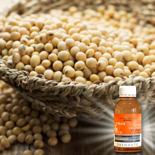 ingredienti e proprietà soia