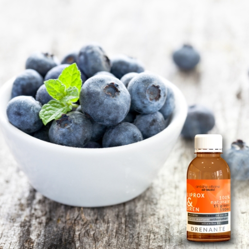 ingredienti e proprietà mirtillo artico